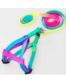 Colorful Pet Leash...