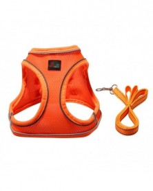 XS size-O - Adjustable Dogs...