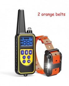 Orange 2belt - Electric Dog...