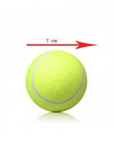 Small size 7 cm - Dog Ball...